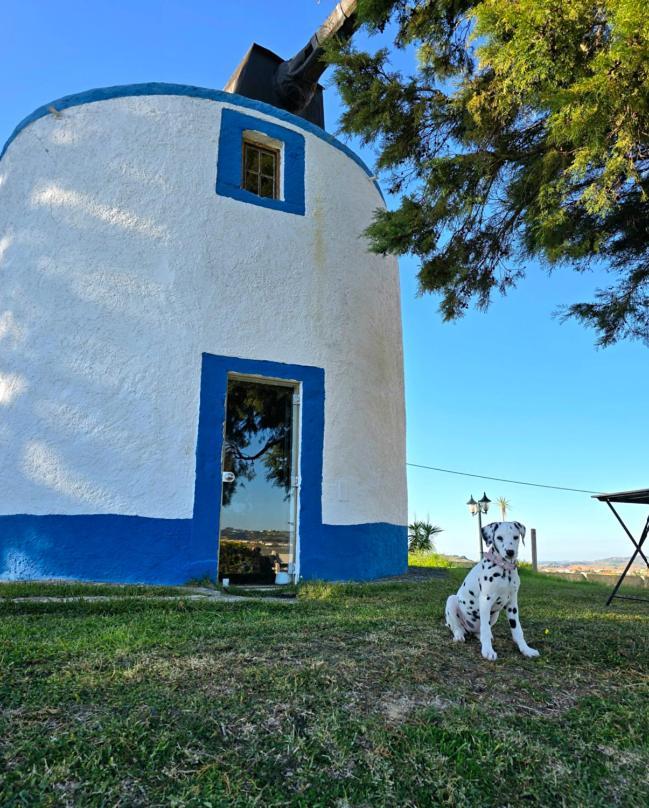 Villa Casal Do Moinho Enxara do Bispo Esterno foto